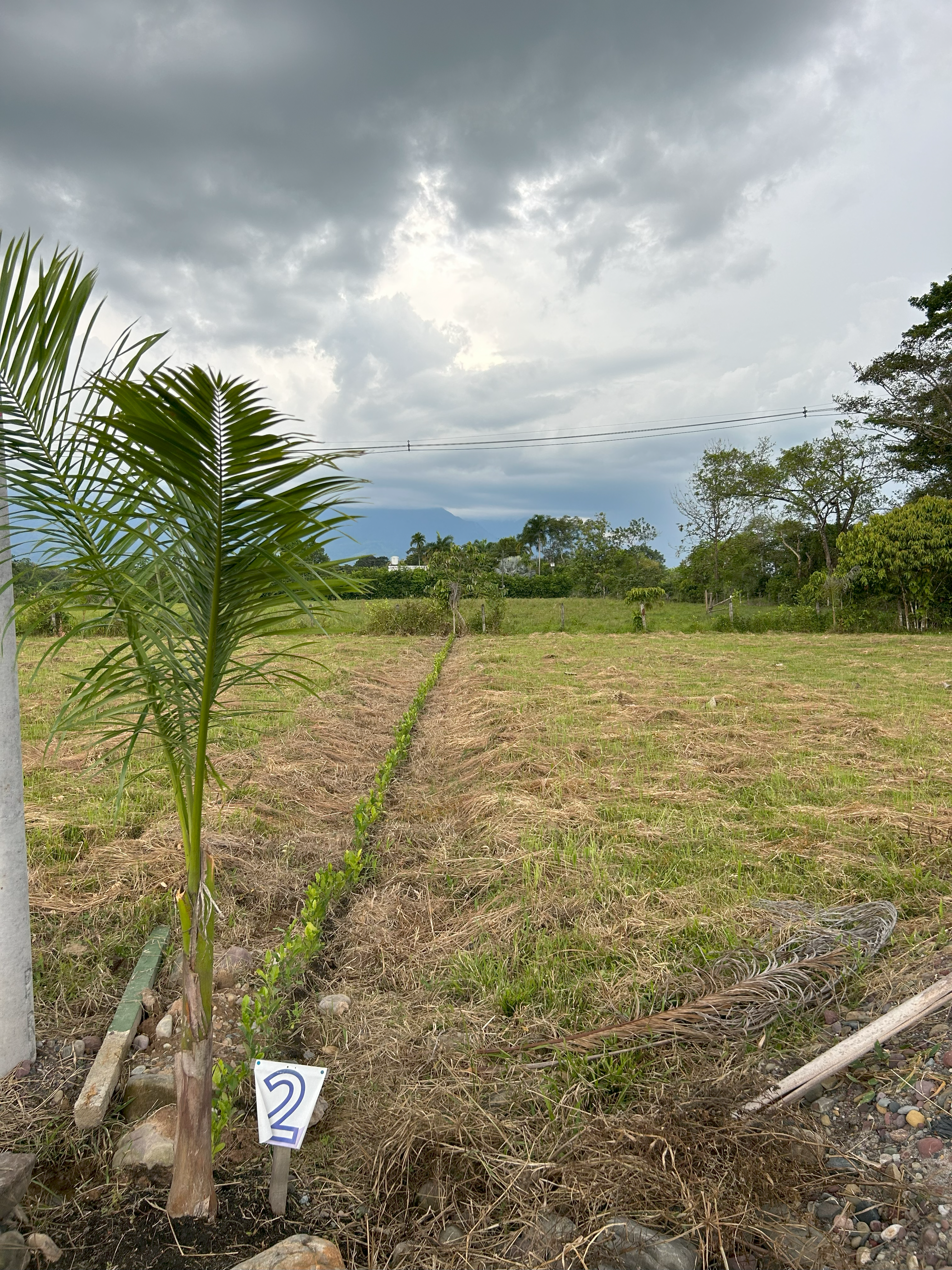 Vista al Piedemonte Llanero