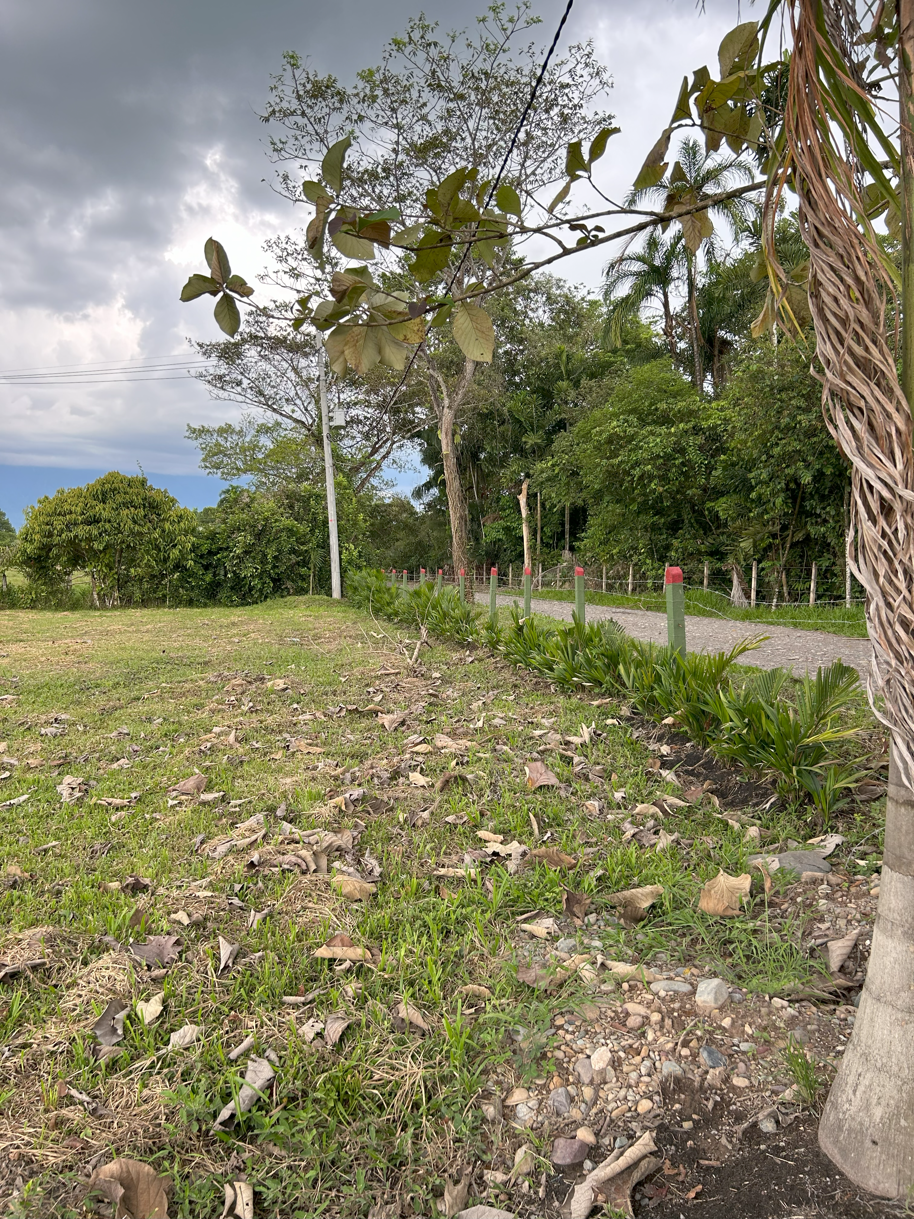 Ubicación Lotes Campestres Las Palmas