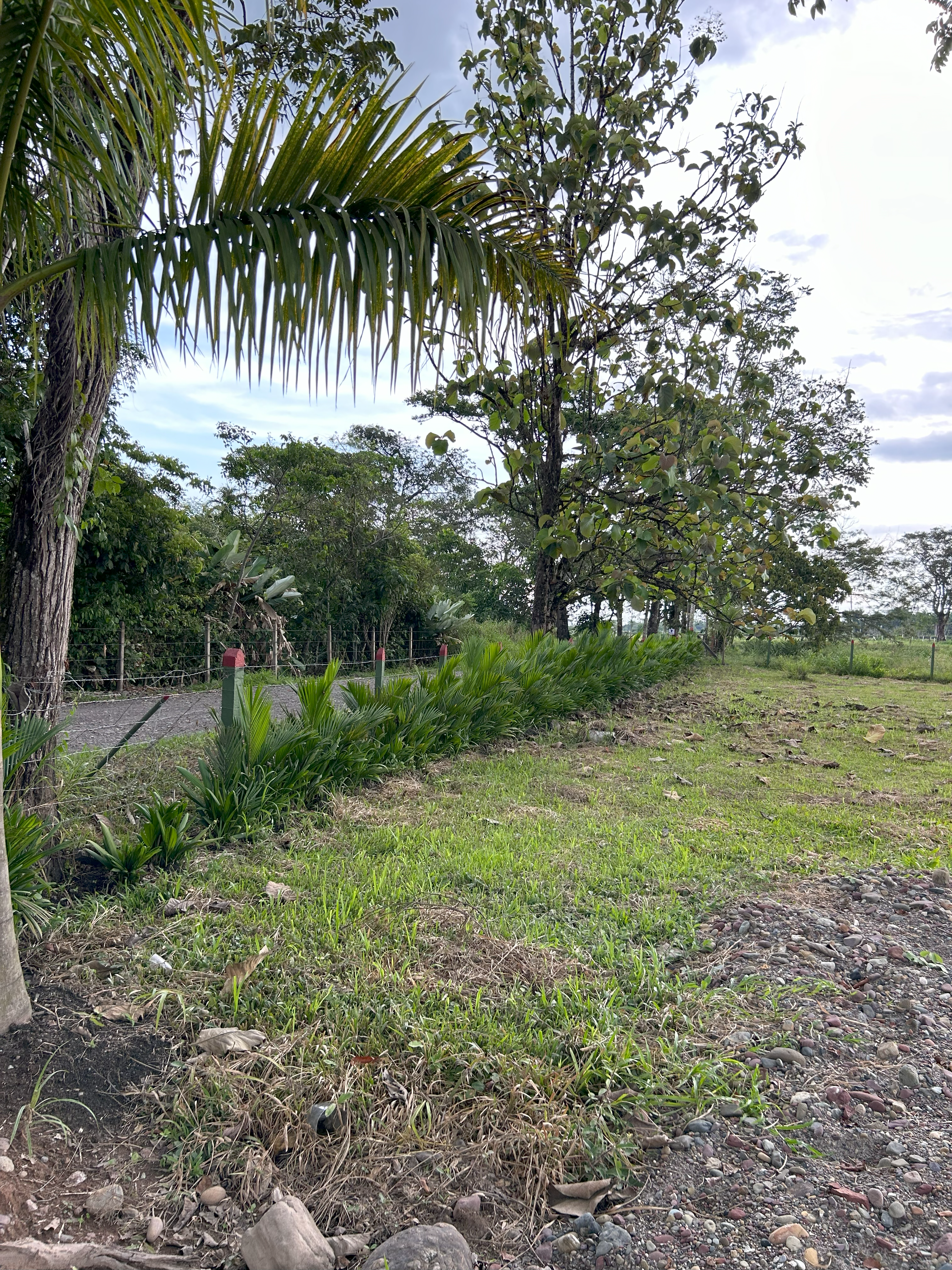 Vista aérea Lotes Campestres Las Palmas